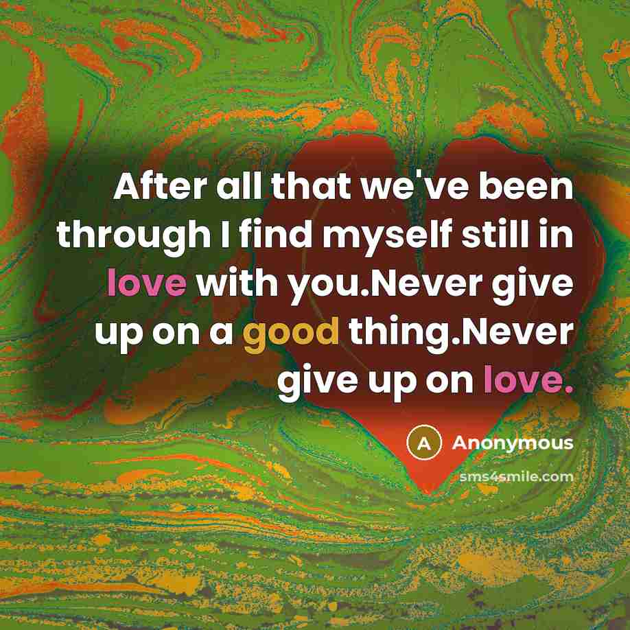“After all that we've been through I find myself still in love with you.Never give up on a good thing.Never give up on love.” quote by Anonymous