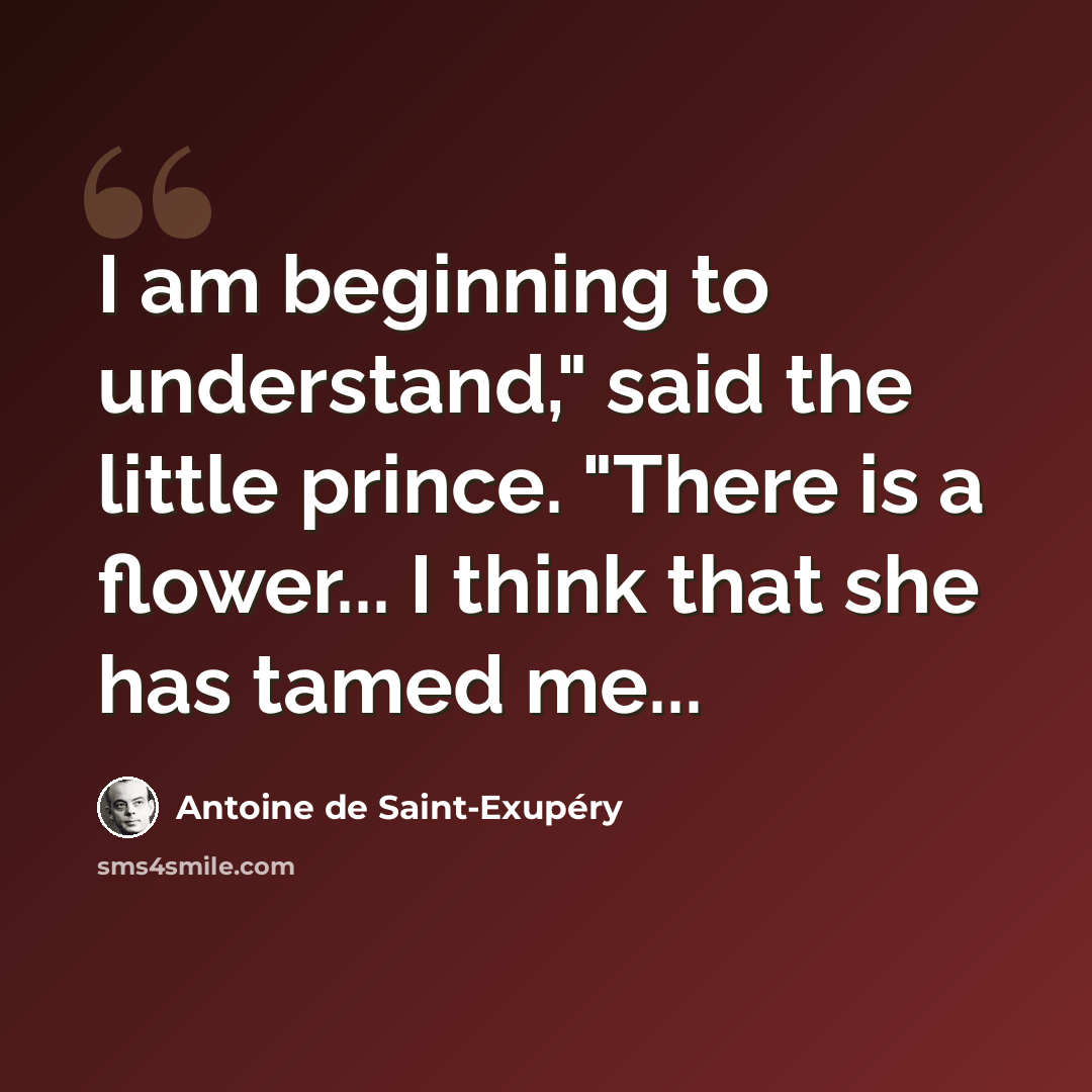 “I am beginning to understand," said the little prince. "There is a flower... I think that she has tamed me...” quote by Antoine de Saint-Exupery