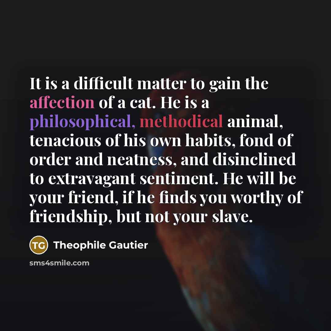 “It is a difficult matter to gain the affection of a cat. He is a philosophical, methodical animal, tenacious of his own habits, fond of order and neatness, and disinclined to extravagant sentiment. He will be your friend, if he finds you worthy of friendship, but not your slave.” quote by Theophile Gautier
