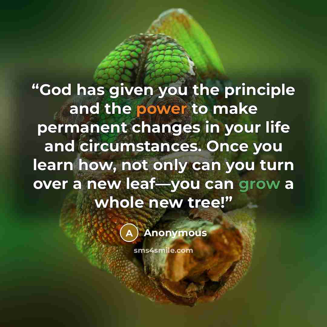 “God has given you the principle and the power to make permanent changes in your life and circumstances. Once you learn how, not only can you turn over a new leaf—you can grow a whole new tree!” quote by Anonymous