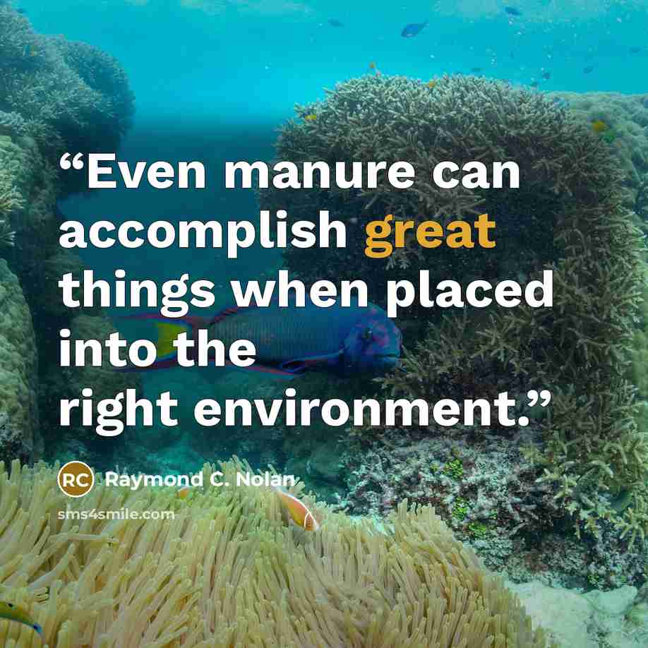 “Even manure can accomplish great things when placed into the right environment.” quote by Raymond C. Nolan