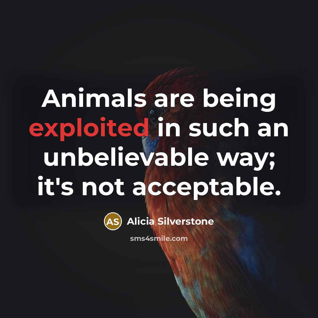 “Animals are being exploited in such an unbelievable way; it's not acceptable.” quote by Alicia Silverstone