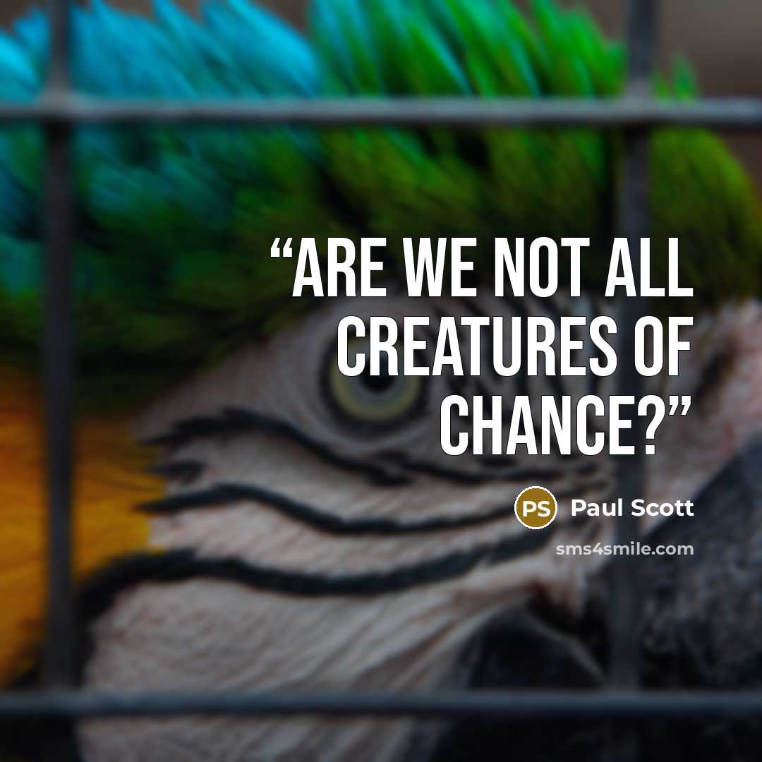 “Are we not all creatures of chance?” quote by Paul Scott