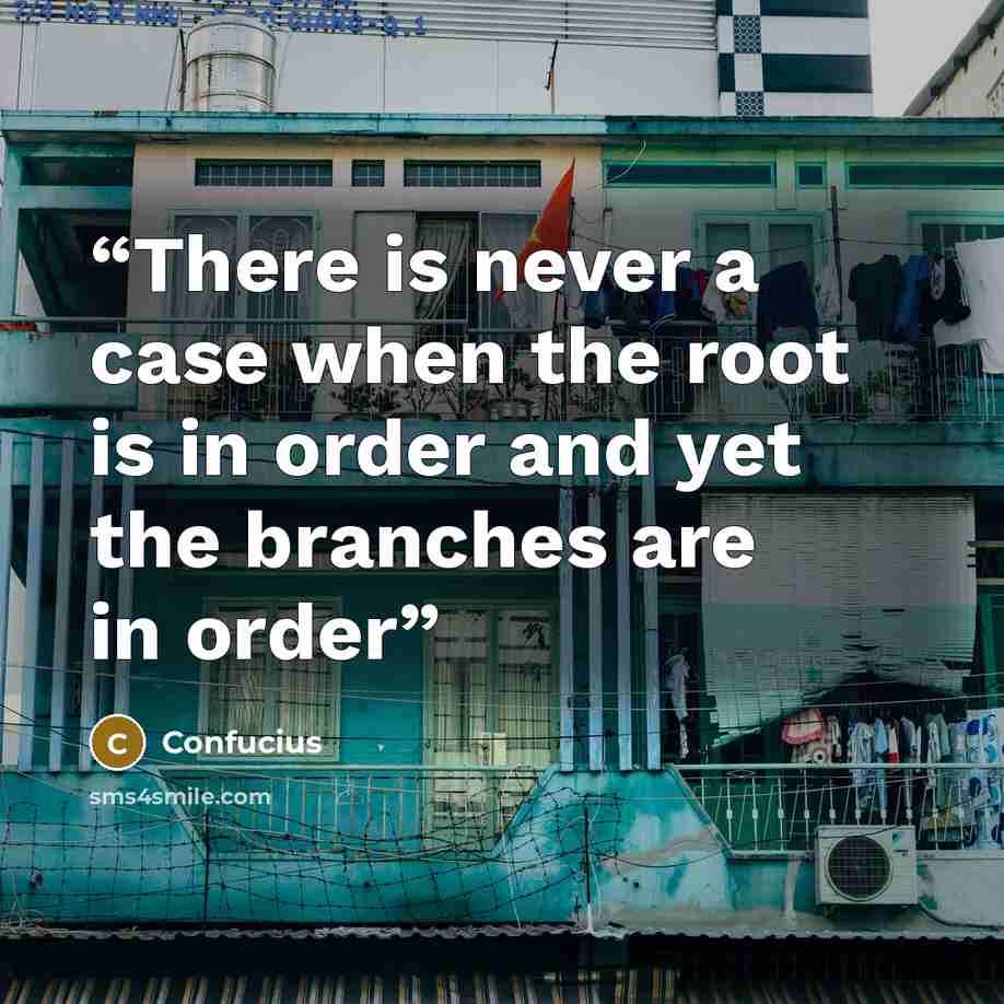 “There is never a case when the root is in order and yet the branches are in order” quote by Confucius