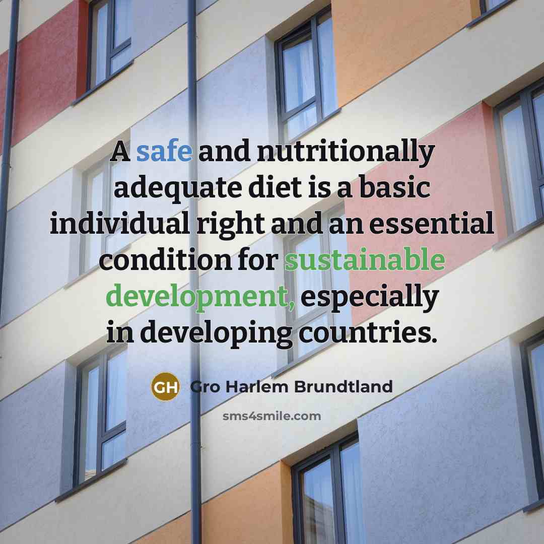 “A safe and nutritionally adequate diet is a basic individual right and an essential condition for sustainable development, especially in developing countries.” quote by Gro Harlem Brundtland