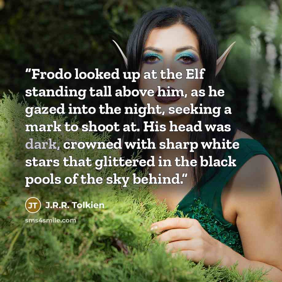 “Frodo looked up at the Elf standing tall above him, as he gazed into the night, seeking a mark to shoot at. His head was dark, crowned with sharp white stars that glittered in the black pools of the sky behind.” quote by J.R.R. Tolkien
