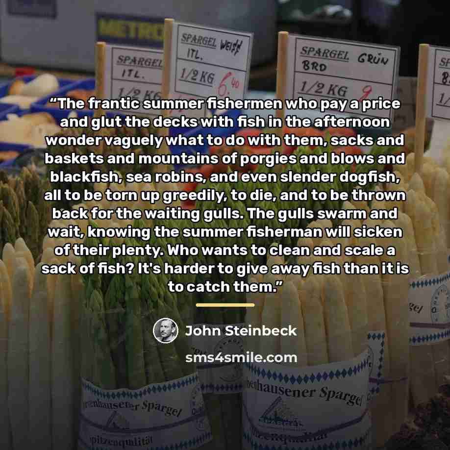 “The frantic summer fishermen who pay a price and glut the decks with fish in the afternoon wonder vaguely what to do with them, sacks and baskets and mountains of porgies and blows and blackfish, sea robins, and even slender dogfish, all to be torn up greedily, to die, and to be thrown back for…” quote by John Steinbeck