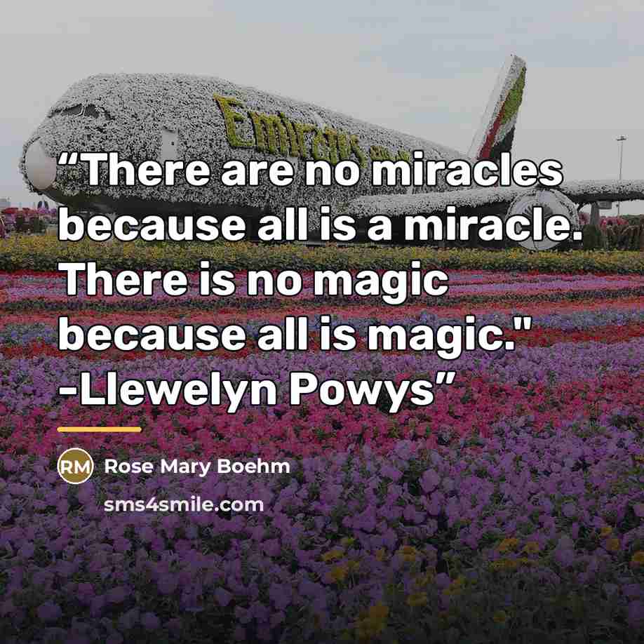 “There are no miracles because all is a miracle. There is no magic because all is magic." -Llewelyn Powys” quote by Rose Mary Boehm
