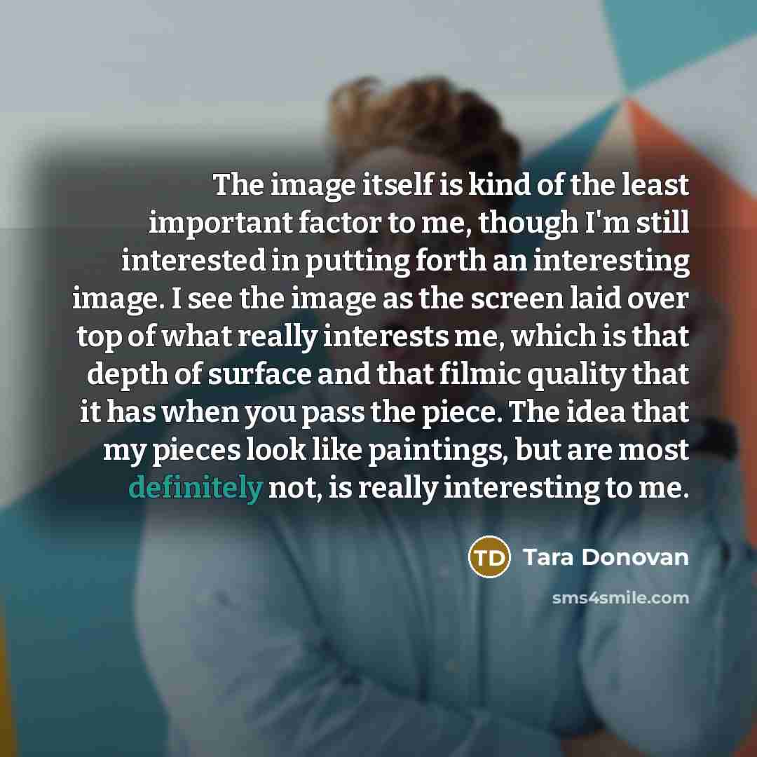 “The image itself is kind of the least important factor to me, though I'm still interested in putting forth an interesting image. I see the image as the screen laid over top of what really interests me, which is that depth of surface and that filmic quality that it has when you pass the piece. The…” quote by Tara Donovan