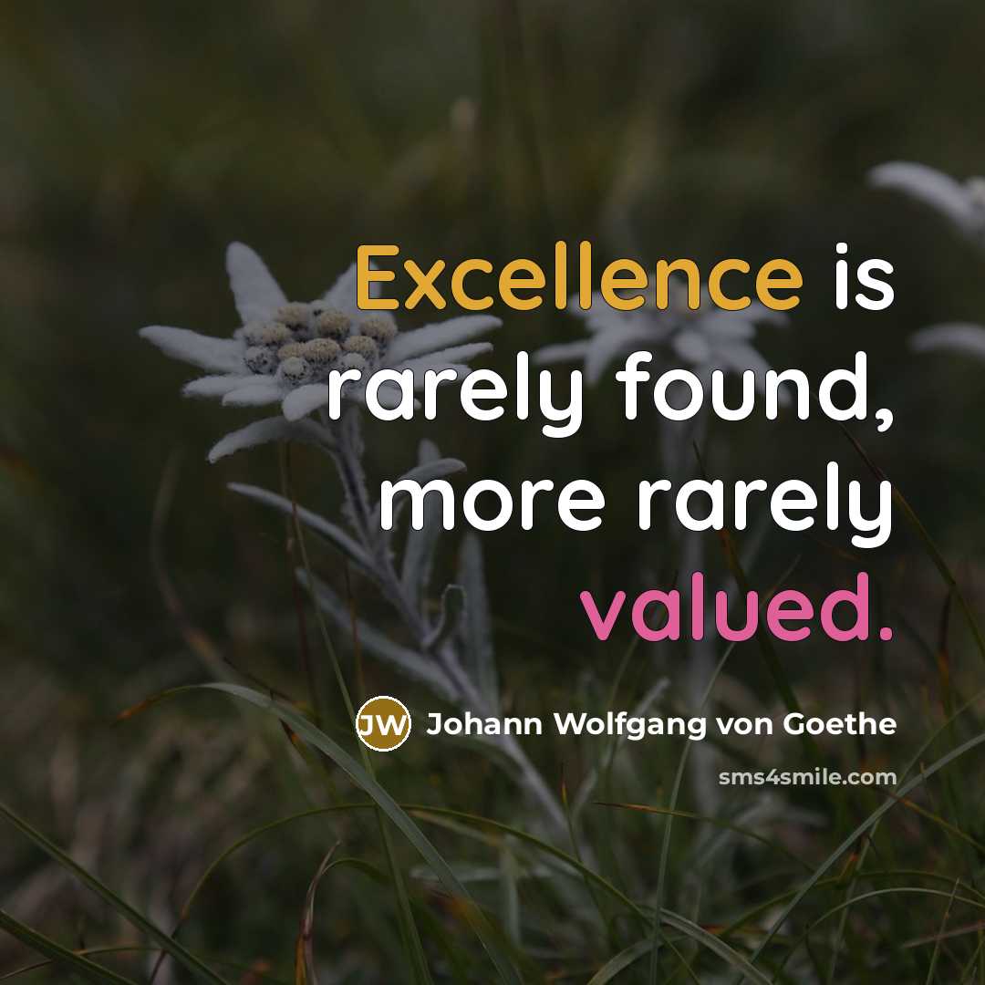 “Excellence is rarely found, more rarely valued.” quote by Johann Wolfgang von Goethe