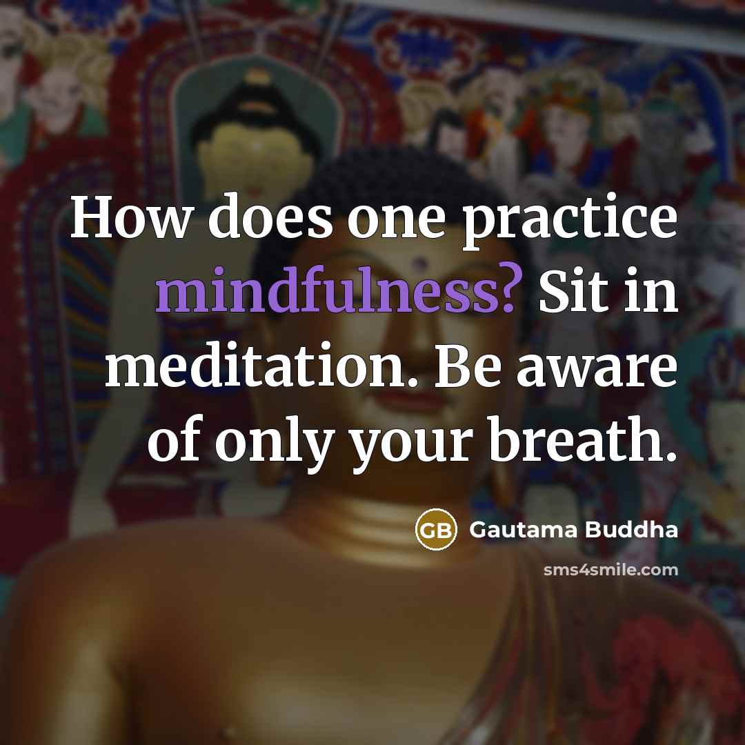 “How does one practice mindfulness? Sit in meditation. Be aware of only your breath.” quote by Gautama Buddha