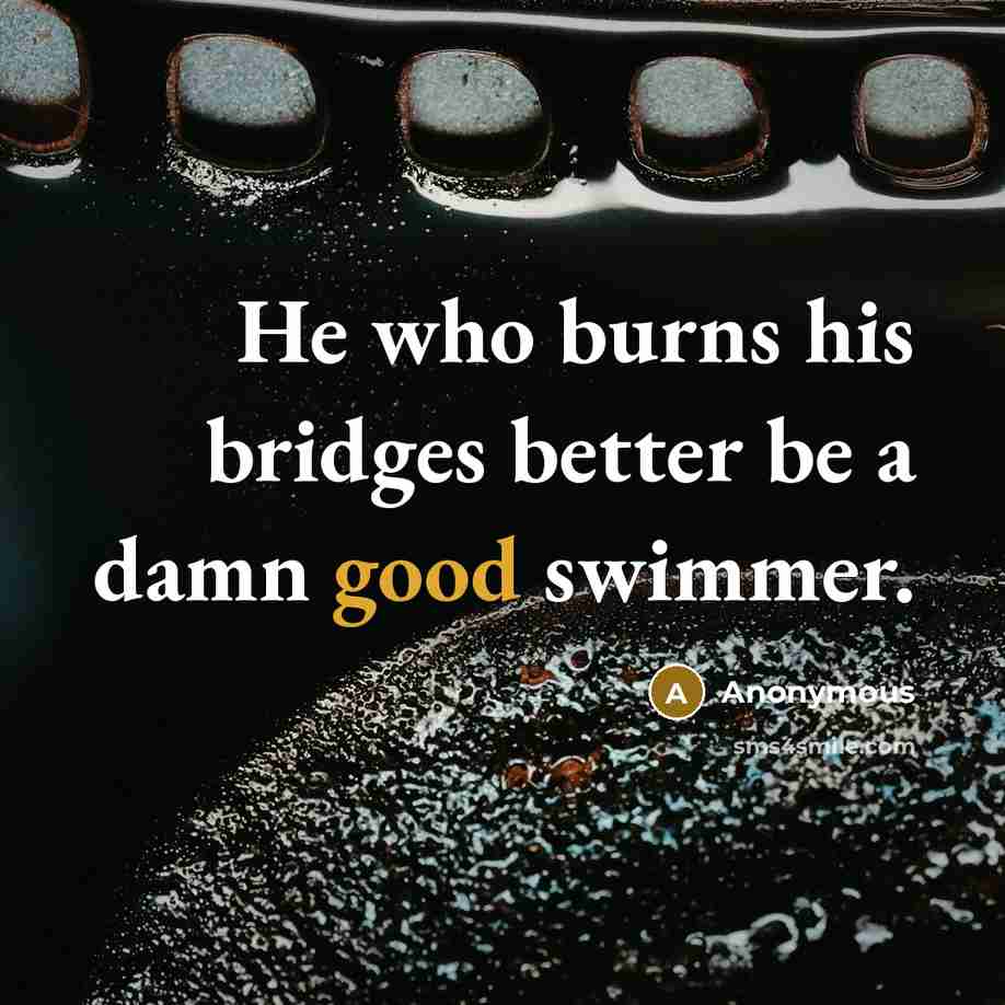 “He who burns his bridges better be a damn good swimmer.” quote by Anonymous