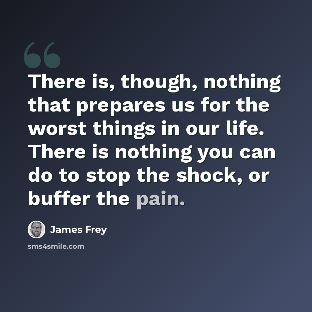 “There is, though, nothing that prepares us for the worst things in our life. There is nothing you can do to stop the shock, or buffer the pain.” quote by James Frey