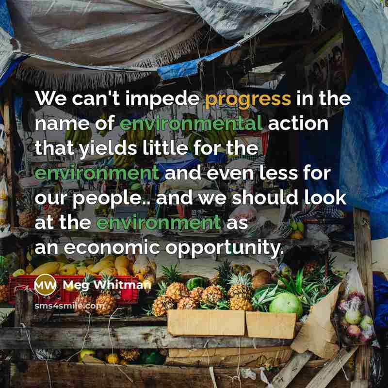 “We can't impede progress in the name of environmental action that yields little for the environment and even less for our people.. and we should look at the environment as an economic opportunity.” quote by Meg Whitman