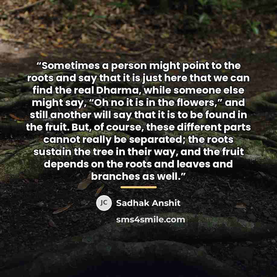 “Sometimes a person might point to the roots and say that it is just here that we can find the real Dharma, while someone else might say, “Oh no it is in the flowers,” and still another will say that it is to be found in the fruit. But, of course, these different parts cannot really be separated…” quote by Sadhak Anshit