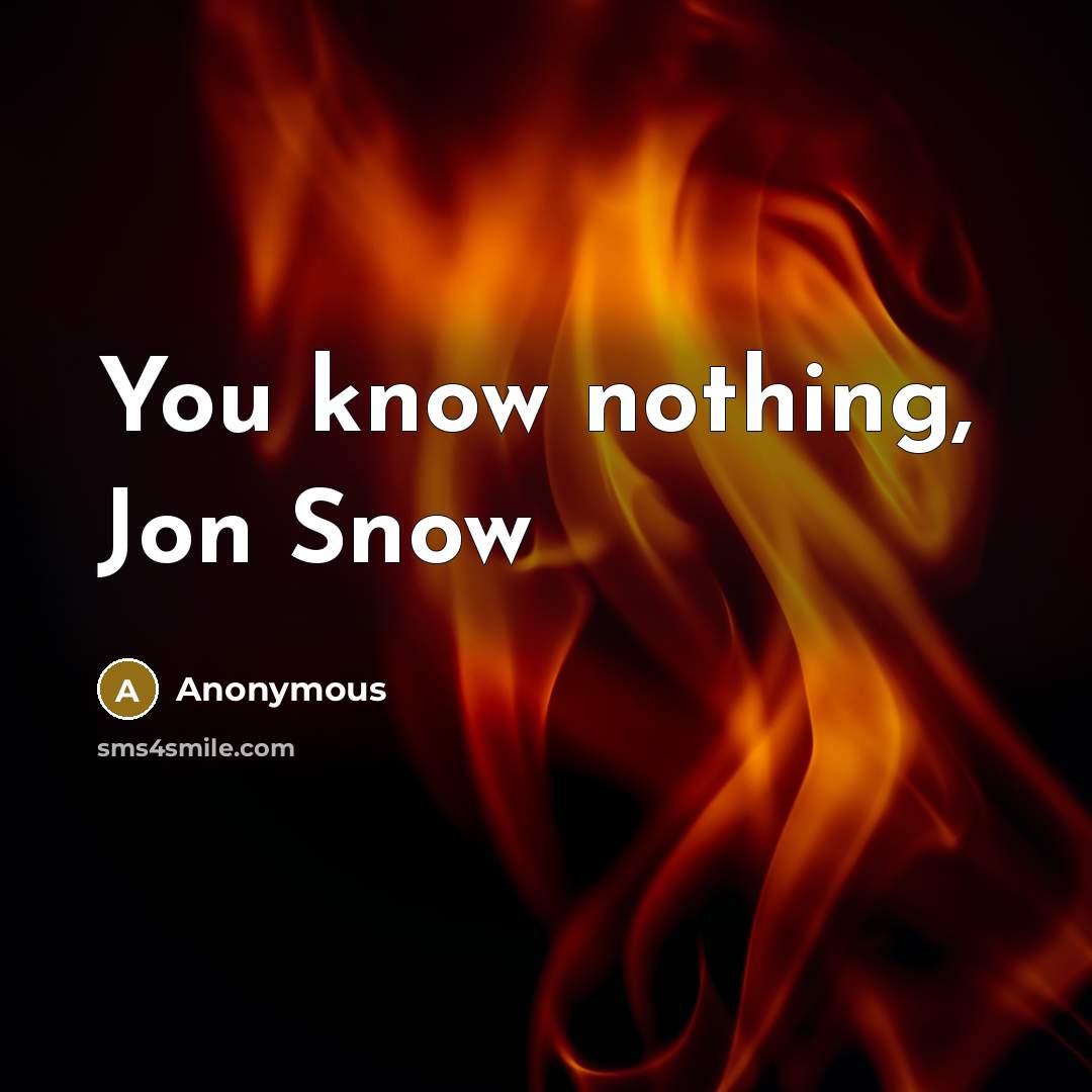 “You know nothing, Jon Snow” quote by Anonymous