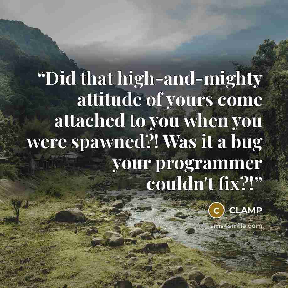 “Did that high-and-mighty attitude of yours come attached to you when you were spawned?! Was it a bug your programmer couldn't fix?!” quote by Clamp
