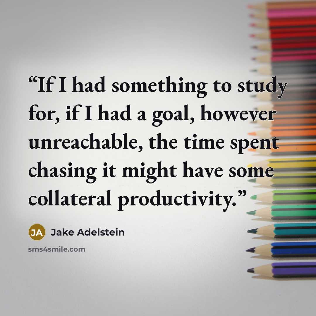 “If I had something to study for, if I had a goal, however unreachable, the time spent chasing it might have some collateral productivity.” quote by Jake Adelstein