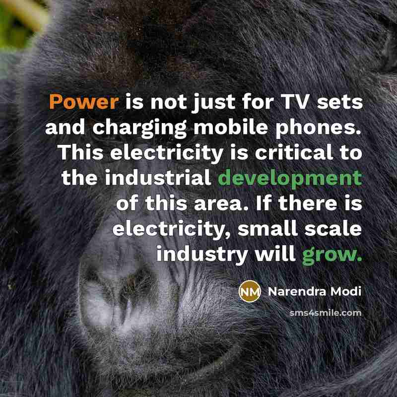 “Power is not just for TV sets and charging mobile phones. This electricity is critical to the industrial development of this area. If there is electricity, small scale industry will grow.” quote by Narendra Modi