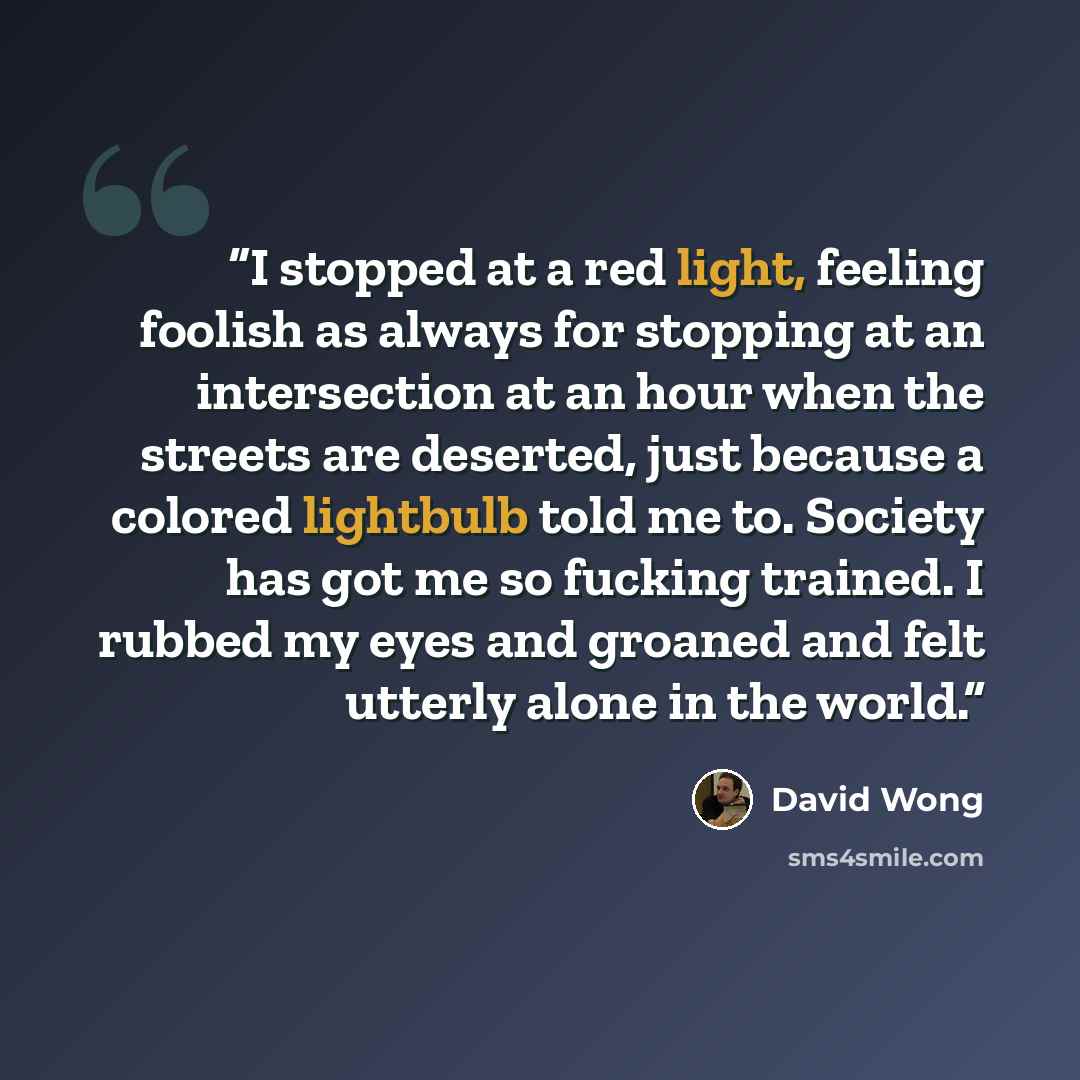“I stopped at a red light, feeling foolish as always for stopping at an intersection at an hour when the streets are deserted, just because a colored lightbulb told me to. Society has got me so fucking trained. I rubbed my eyes and groaned and felt utterly alone in the world.” quote by David Wong