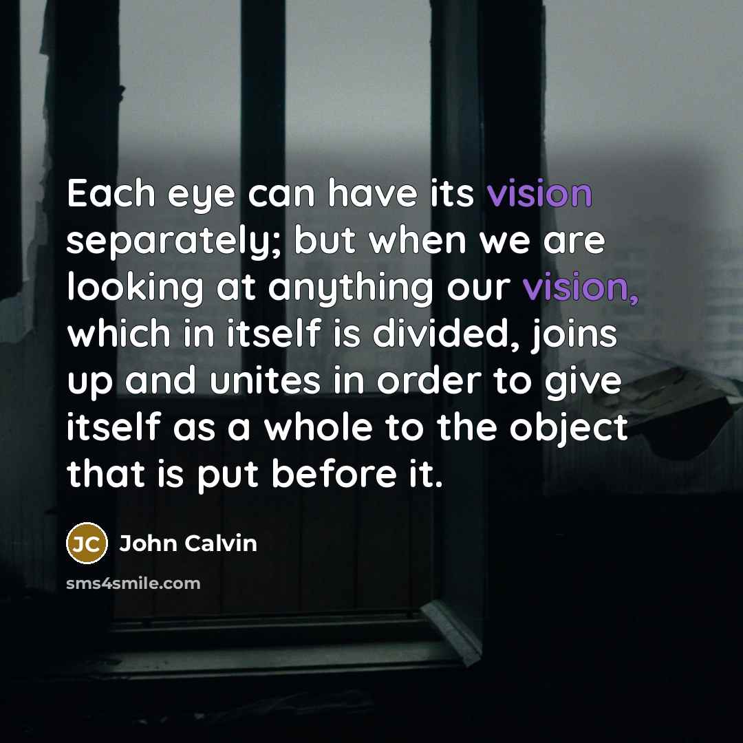 “Each eye can have its vision separately; but when we are looking at anything our vision, which in itself is divided, joins up and unites in order to give itself as a whole to the object that is put before it.” quote by John Calvin
