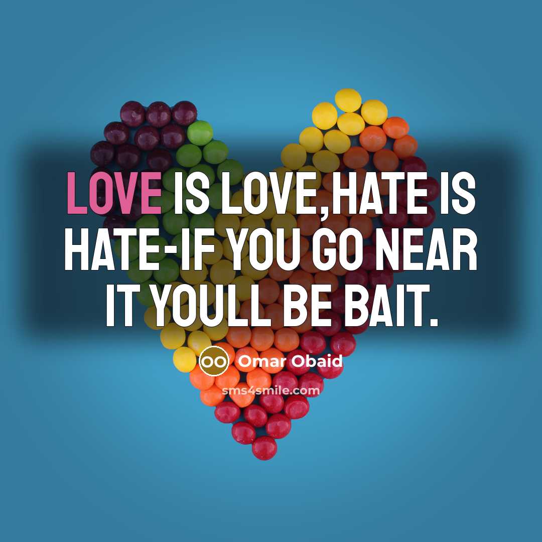 “Love is love,hate is hate-if you go near it youll be bait.” quote by Omar Obaid
