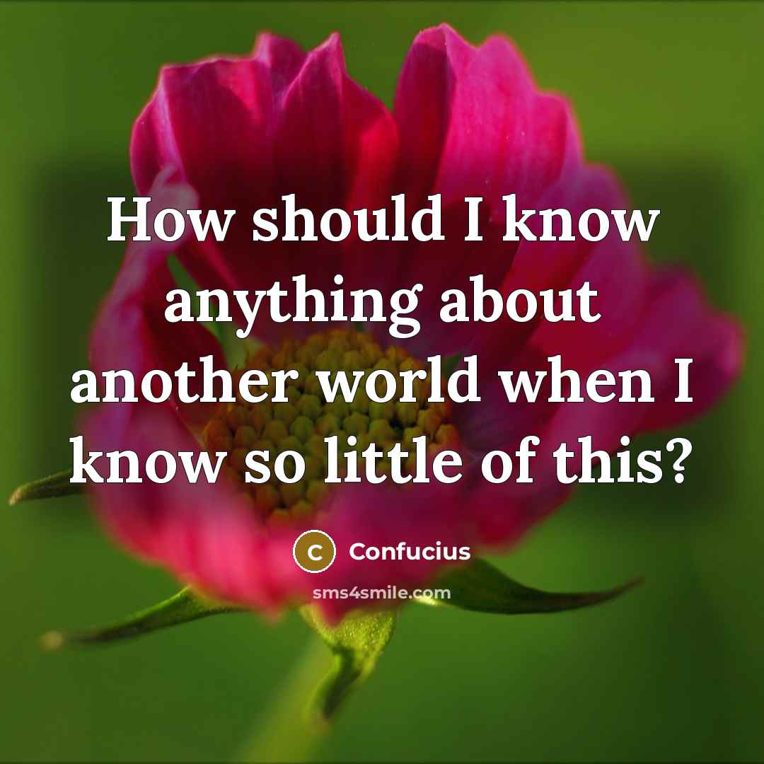 “How should I know anything about another world when I know so little of this?” quote by Confucius