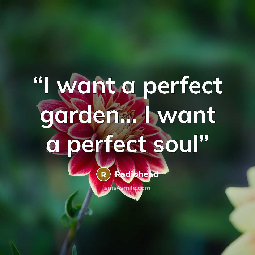 “I want a perfect garden… I want a perfect soul” quote by Radiohead