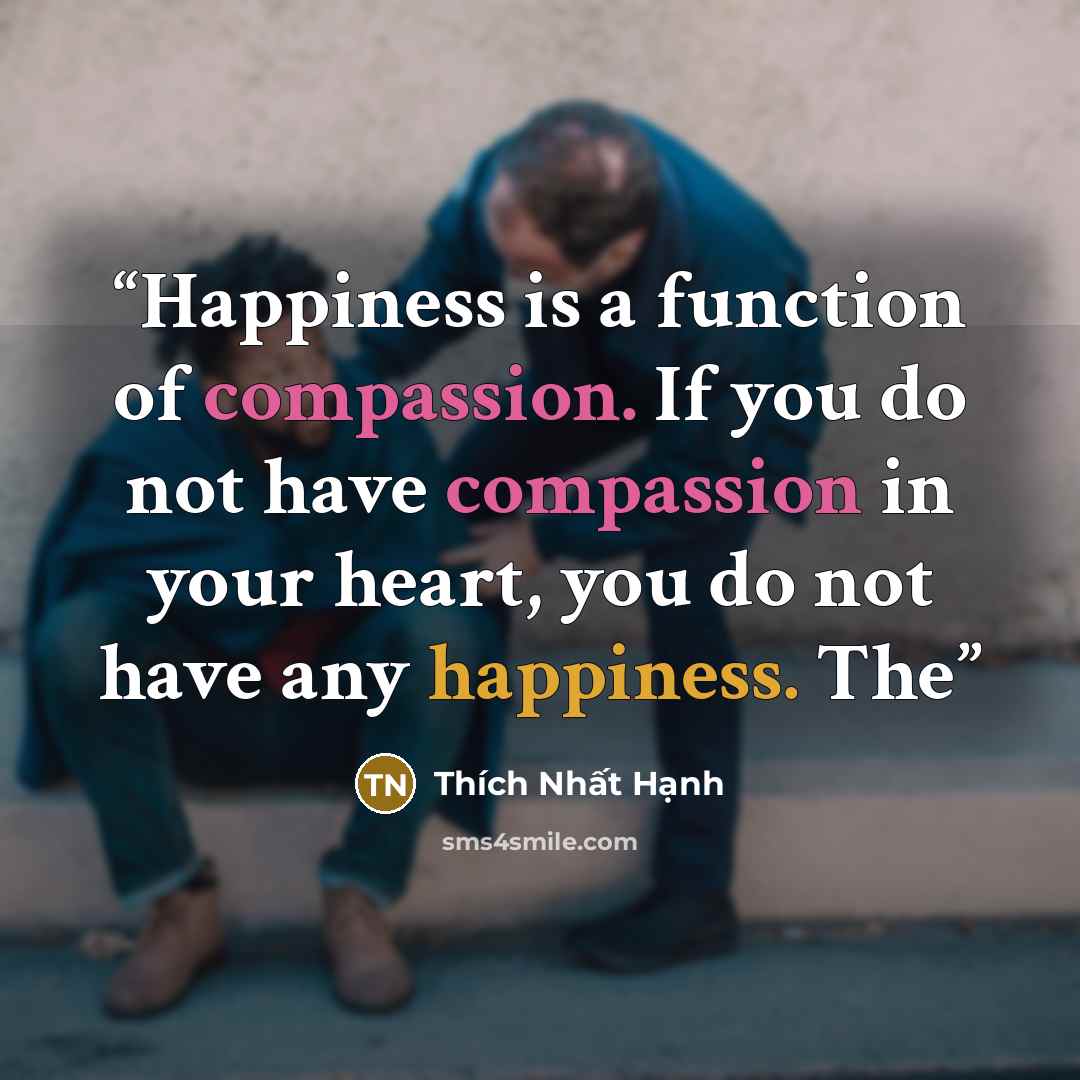 “Happiness is a function of compassion. If you do not have compassion in your heart, you do not have any happiness. The” quote by Thich Nhat Hanh