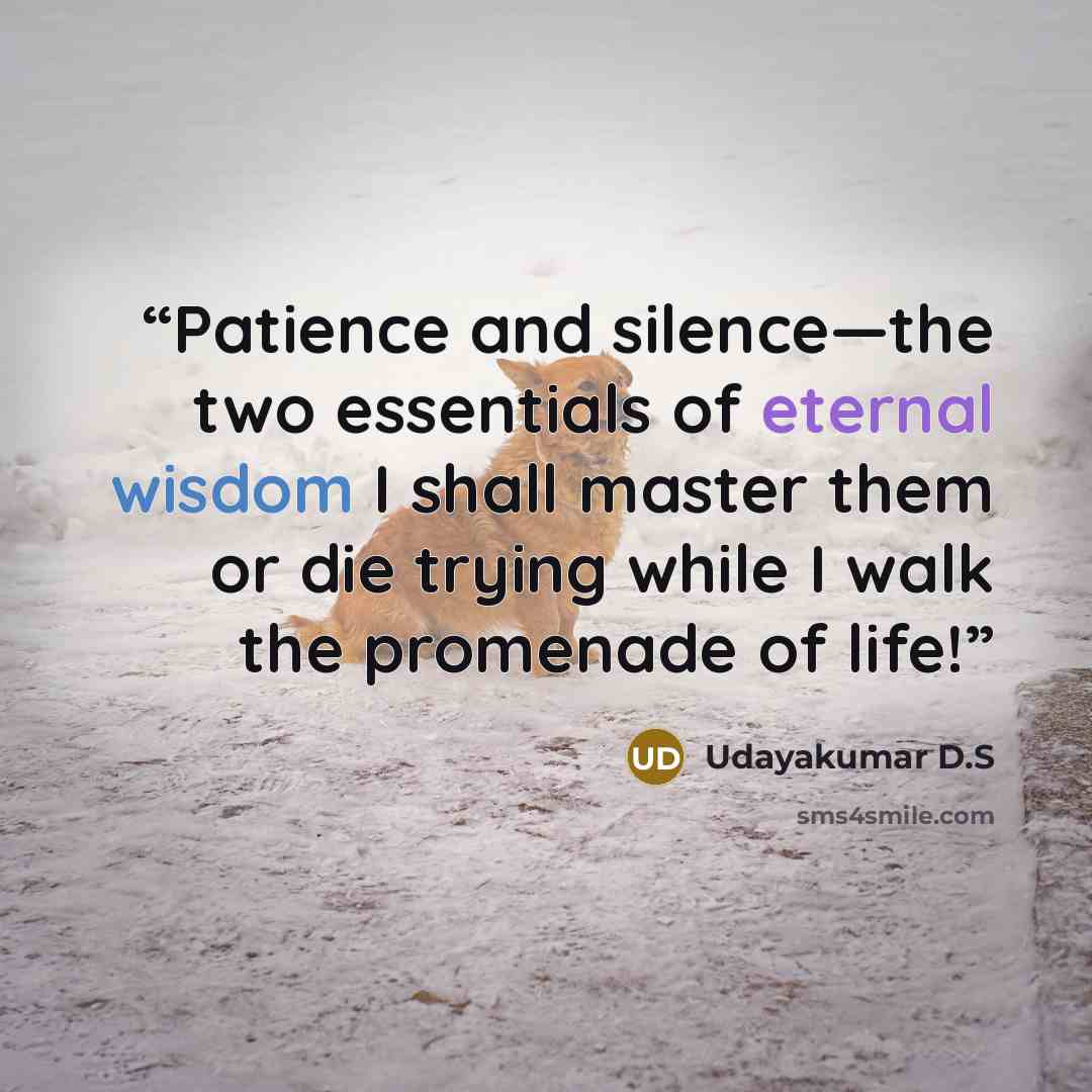 “Patience and silence—the two essentials of eternal wisdom I shall master them or die trying while I walk the promenade of life!” quote by Udayakumar D.S