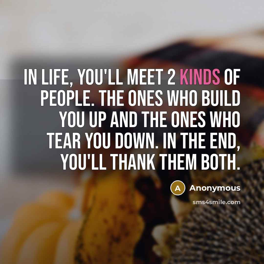 “In life, you'll meet 2 kinds of people. The ones who build you up and the ones who tear you down. In the end, you'll thank them both.” quote by Anonymous