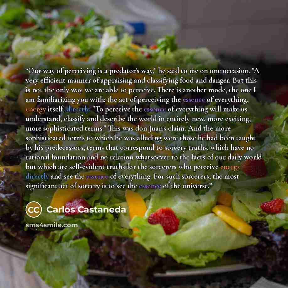 “Our way of perceiving is a predator's way," he said to me on one occasion. "A very efficient manner of appraising and classifying food and danger. But this is not the only way we are able to perceive. There is another mode, the one I am familiarizing you with: the act of perceiving the essence of…” quote by Carlos Castaneda