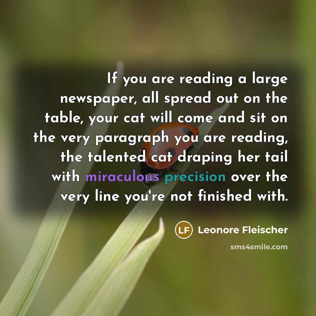 “If you are reading a large newspaper, all spread out on the table, your cat will come and sit on the very paragraph you are reading, the talented cat draping her tail with miraculous precision over the very line you're not finished with.” quote by Leonore Fleischer