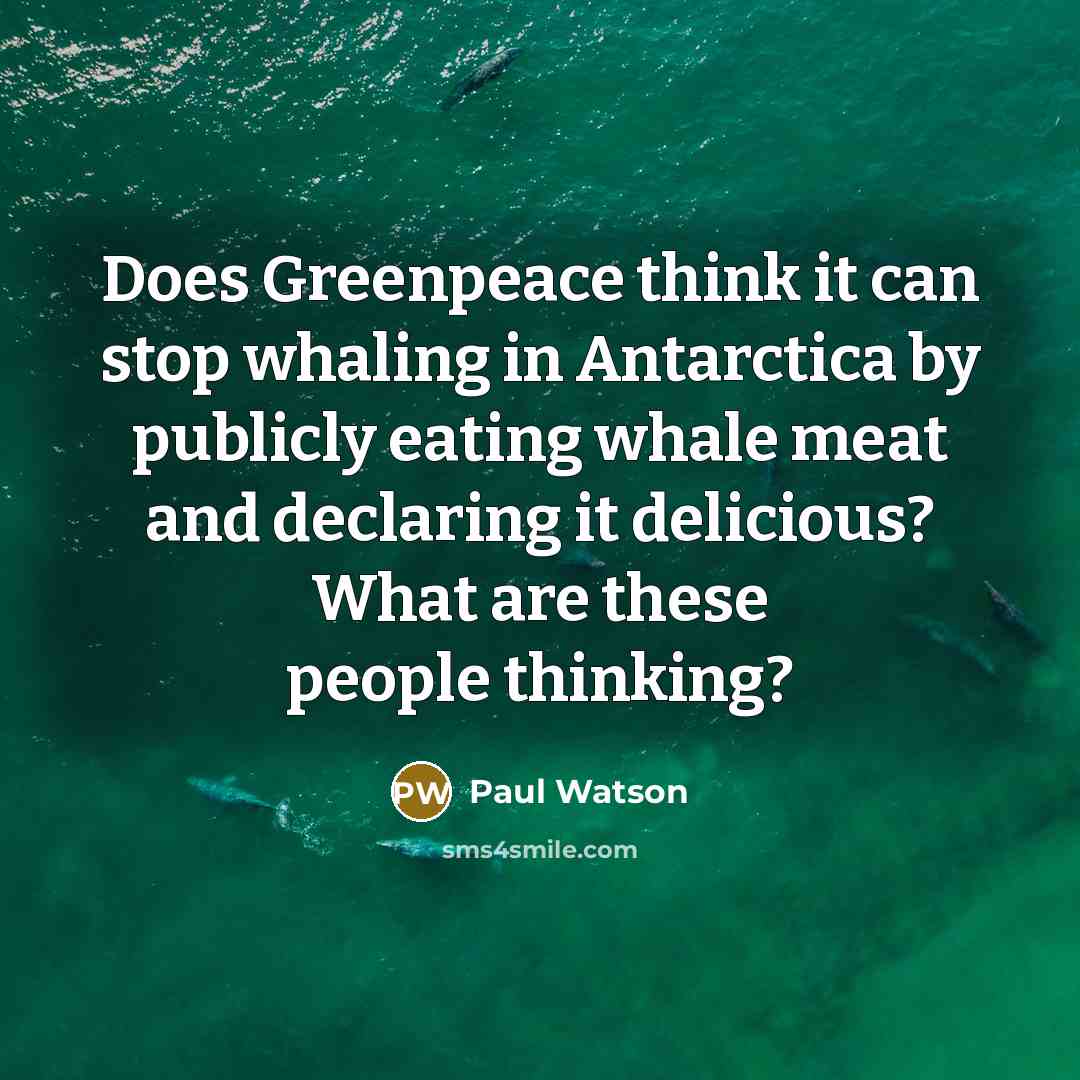 “Does Greenpeace think it can stop whaling in Antarctica by publicly eating whale meat and declaring it delicious? What are these people thinking?” quote by Paul Watson
