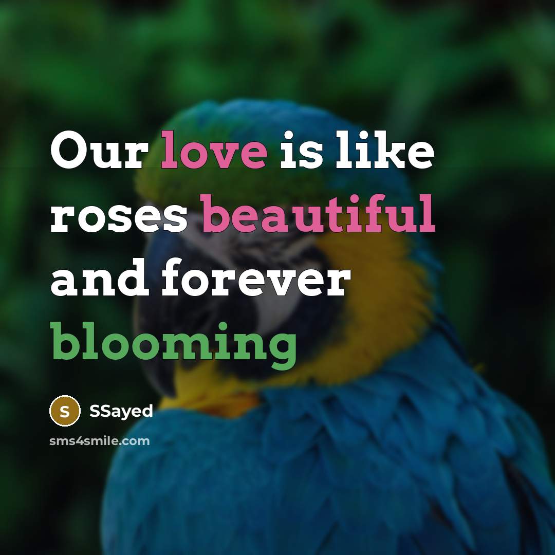 “Our love is like roses beautiful and forever blooming” quote by SSayed