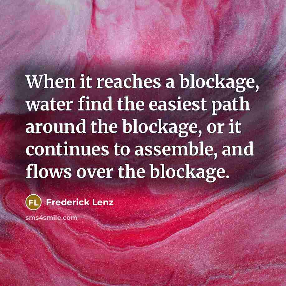 “When it reaches a blockage, water find the easiest path around the blockage, or it continues to assemble, and flows over the blockage.” quote by Frederick Lenz