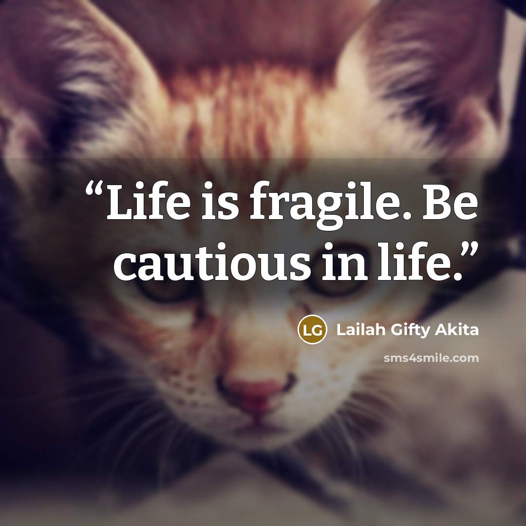 “Life is fragile. Be cautious in life.” quote by Lailah Gifty Akita