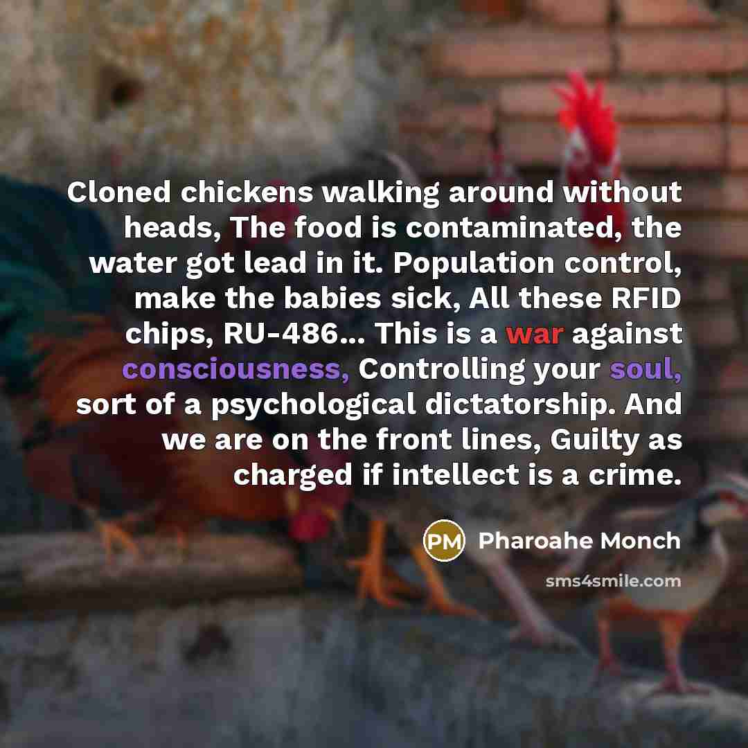 “Cloned chickens walking around without heads, The food is contaminated, the water got lead in it. Population control, make the babies sick, All these RFID chips, RU-486... This is a war against consciousness, Controlling your soul, sort of a psychological dictatorship. And we are on the front…” quote by Pharoahe Monch