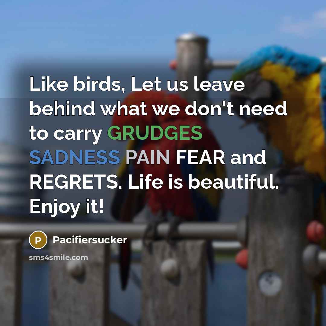 “Like birds, Let us leave behind what we don't need to carry GRUDGES SADNESS PAIN FEAR and REGRETS. Life is beautiful. Enjoy it!” quote by Pacifiersucker