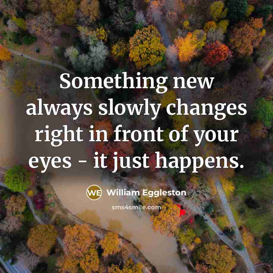 “Something new always slowly changes right in front of your eyes - it just happens.” quote by William Eggleston