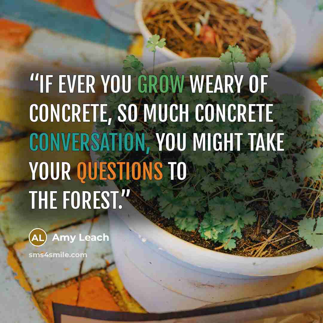 “If ever you grow weary of concrete, so much concrete conversation, you might take your questions to the forest.” quote by Amy Leach