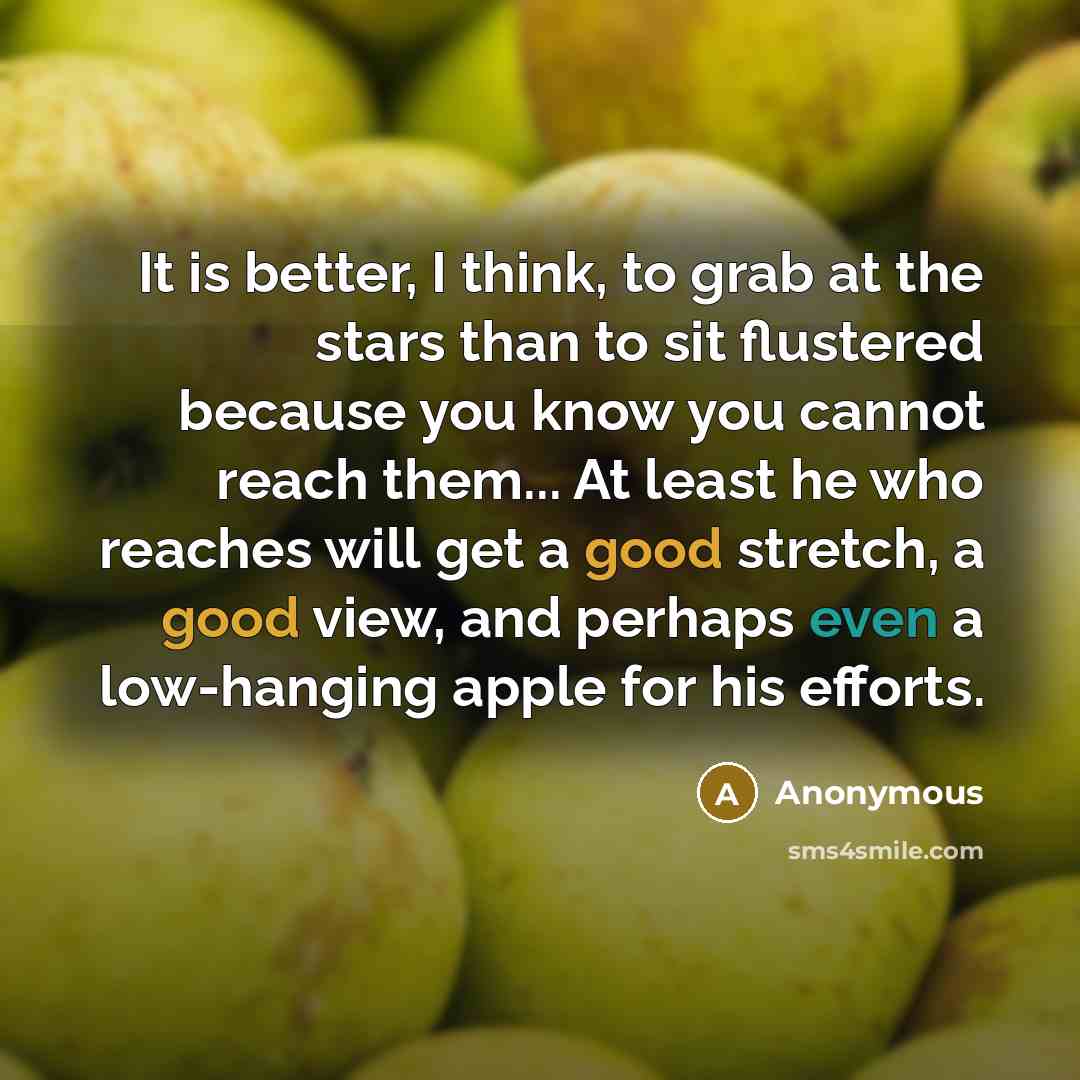 “It is better, I think, to grab at the stars than to sit flustered because you know you cannot reach them... At least he who reaches will get a good stretch, a good view, and perhaps even a low-hanging apple for his efforts.” quote by Anonymous