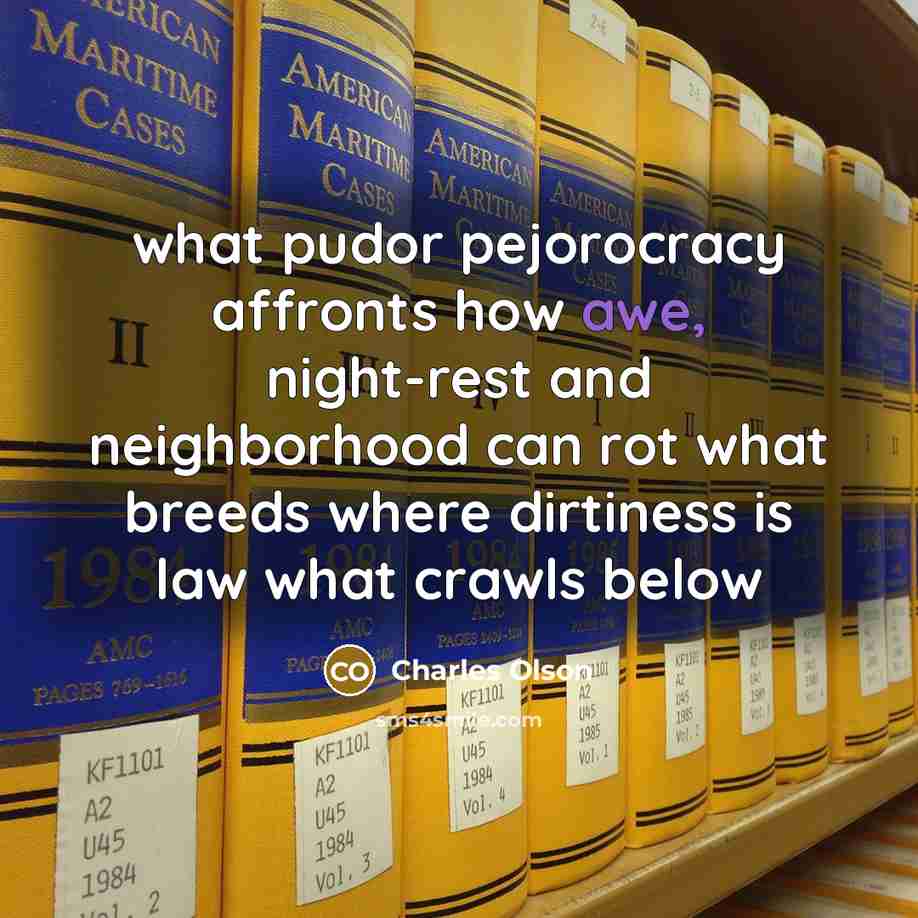 “what pudor pejorocracy affronts how awe, night-rest and neighborhood can rot what breeds where dirtiness is law what crawls below” quote by Charles Olson