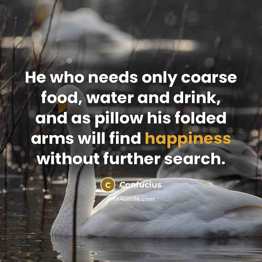 “He who needs only coarse food, water and drink, and as pillow his folded arms will find happiness without further search.” quote by Confucius