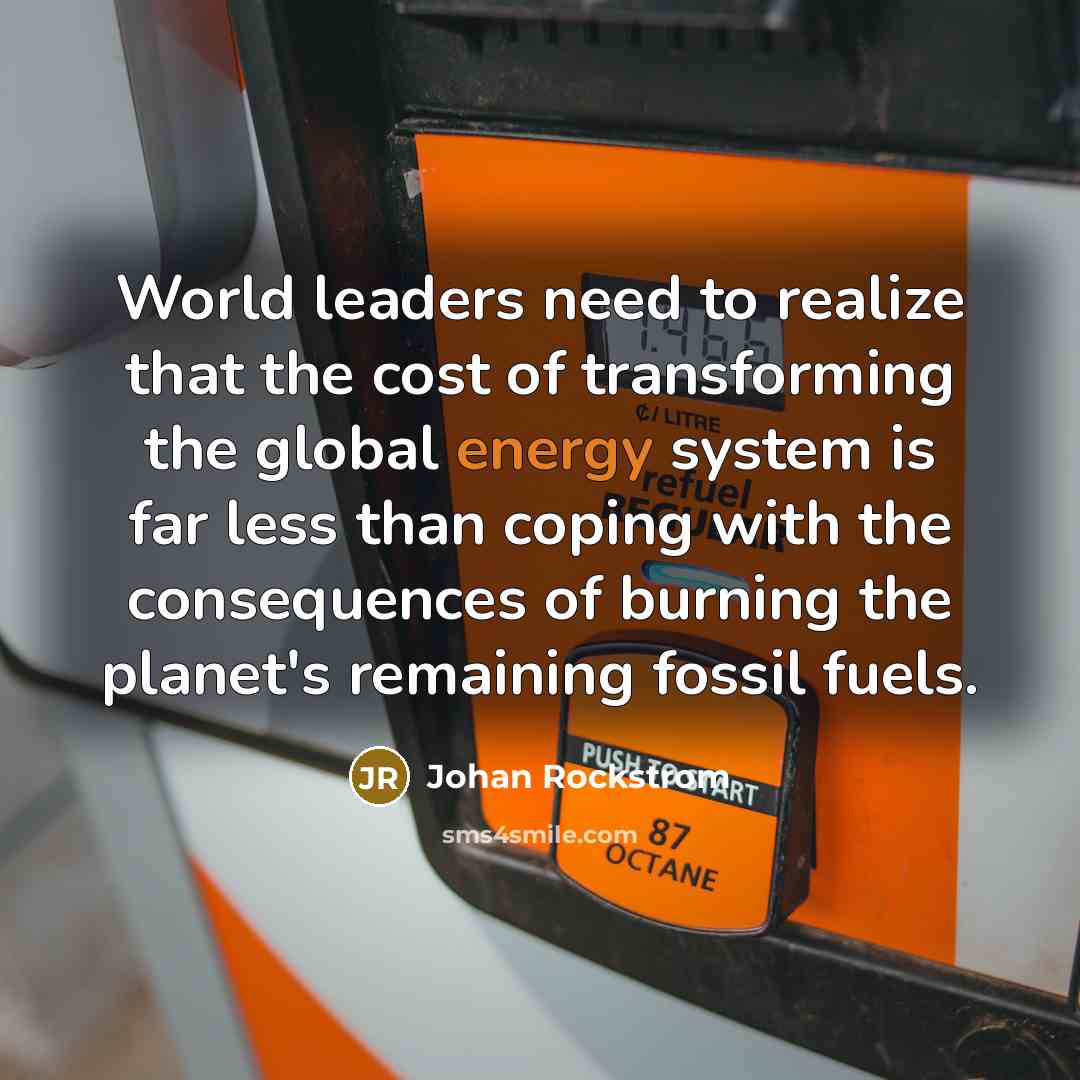 “World leaders need to realize that the cost of transforming the global energy system is far less than coping with the consequences of burning the planet's remaining fossil fuels.” quote by Johan Rockstrom