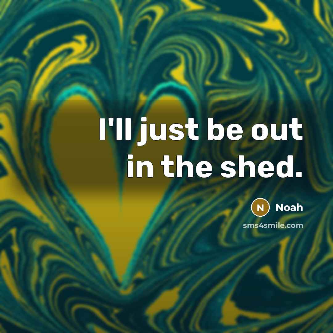 “I'll just be out in the shed.” quote by Noah