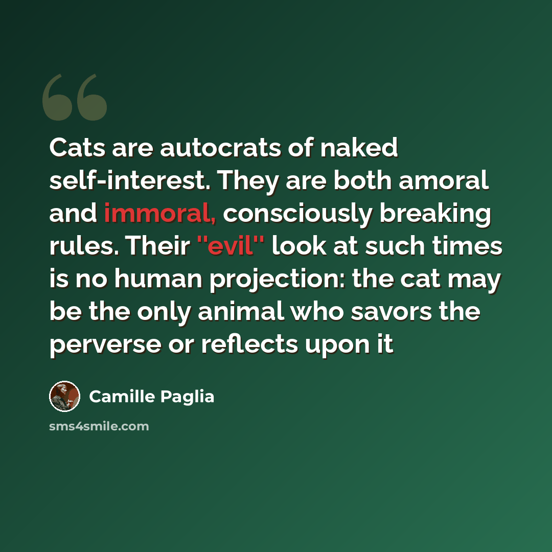 “Cats are autocrats of naked self-interest. They are both amoral and immoral, consciously breaking rules. Their ''evil'' look at such times is no human projection: the cat may be the only animal who savors the perverse or reflects upon it” quote by Camille Paglia
