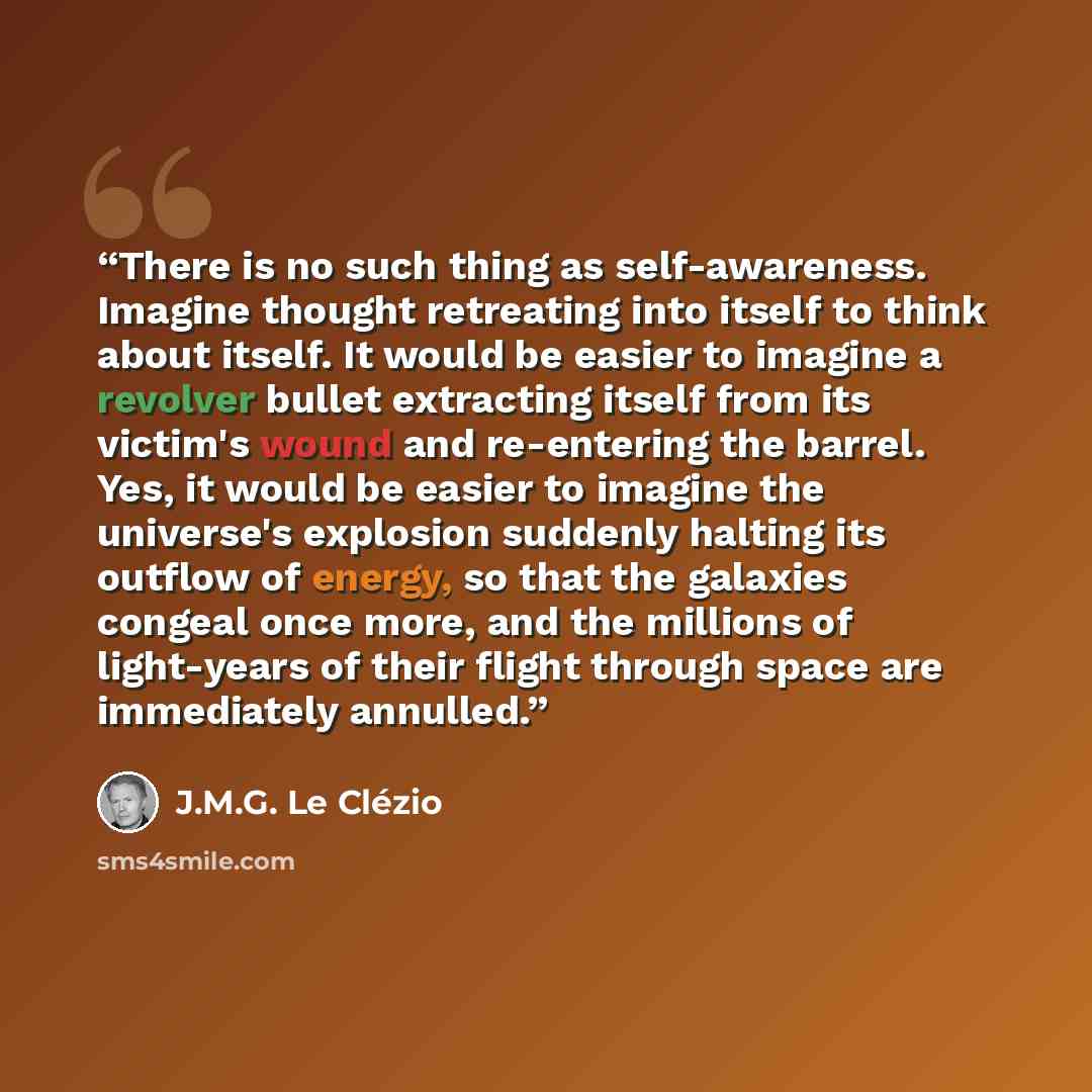 “There is no such thing as self-awareness. Imagine thought retreating into itself to think about itself. It would be easier to imagine a revolver bullet extracting itself from its victim's wound and re-entering the barrel. Yes, it would be easier to imagine the universe's explosion suddenly halting…” quote by J.M.G. Le Clézio