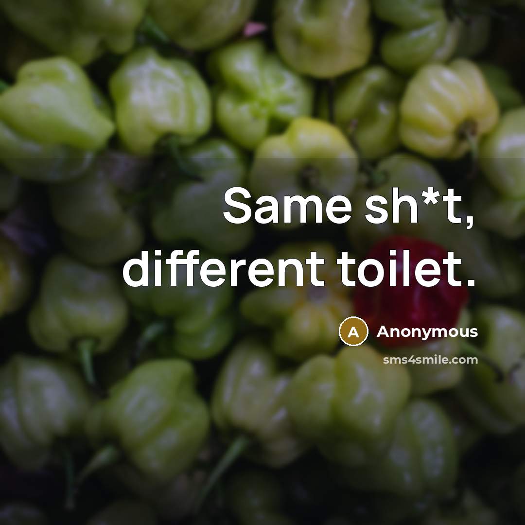 “Same sh*t, different toilet.” quote by Anonymous