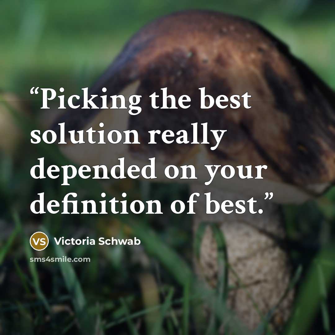 “Picking the best solution really depended on your definition of best.” quote by Victoria Schwab